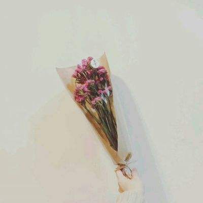 圣域传说手游下载